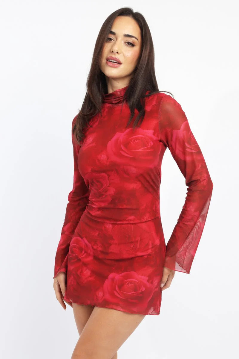 Red Floral Mini Dress High Neck Long Sleeve Mesh